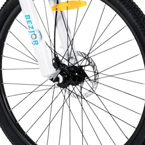 BEZIOR Bicycle Brake Disc For M1/M2